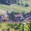 DE CORTON AU MONTRACHET