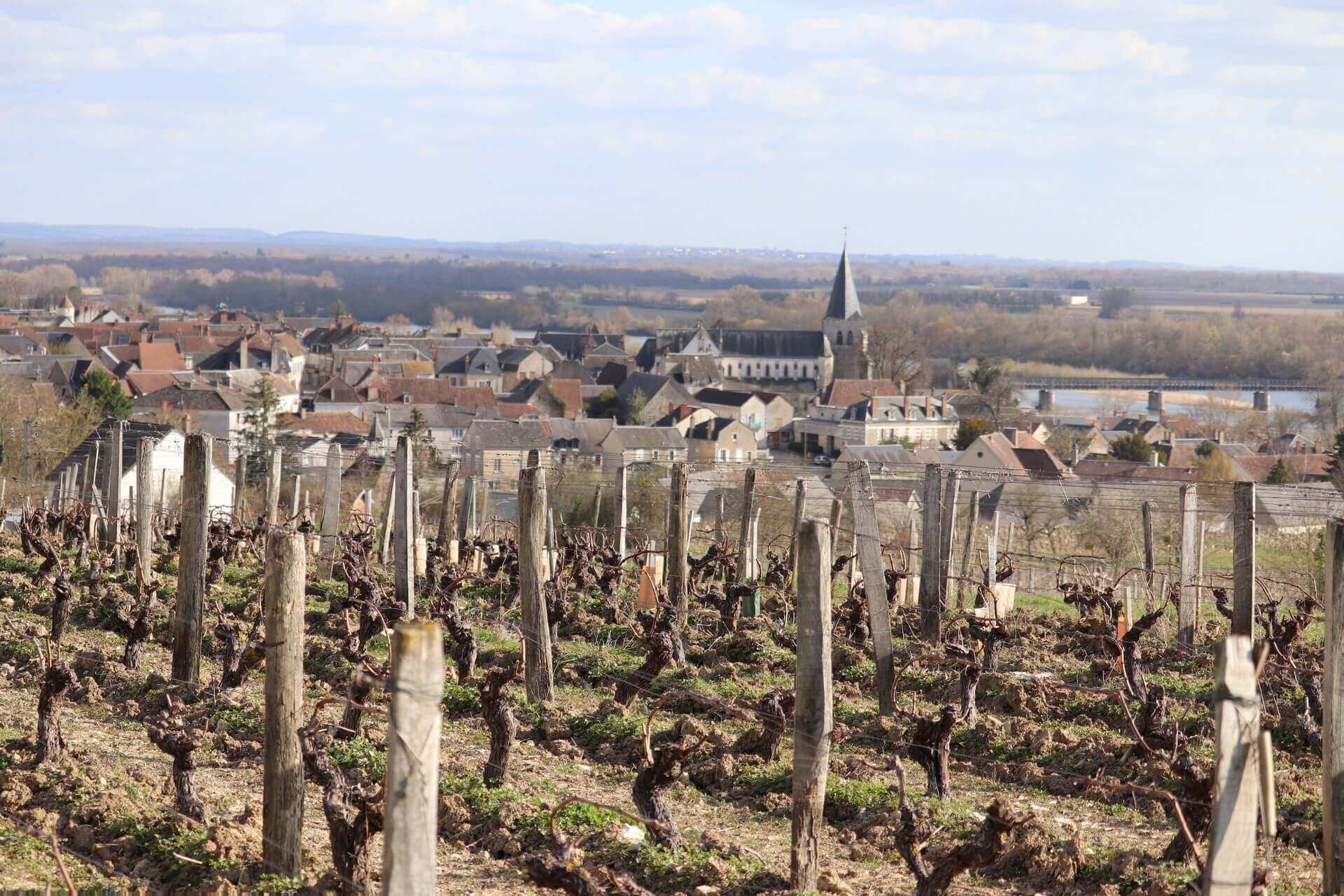 Le vignoble de Pouilly-Fumé, situé en Bourgogne-Franche-Comté