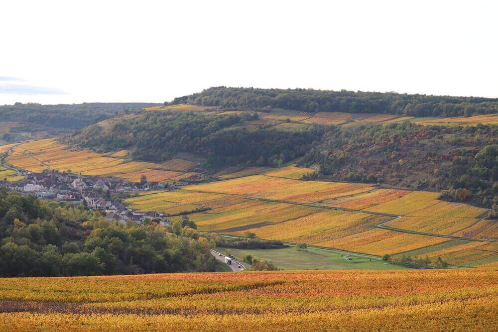 les vins de Bourgogne, vous connaissez ?