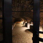 La cave de Sensation Vin accueille encore de nouveaux vins cette semaine